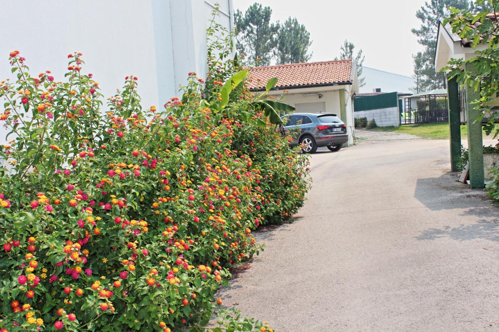 Residencial Pinho Verde Mealhada Exterior photo